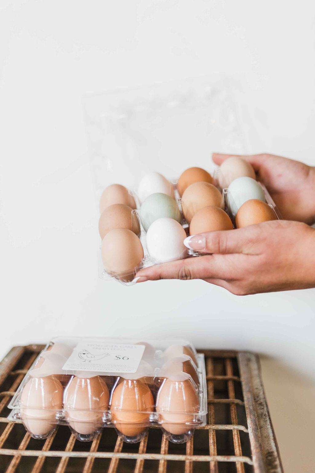 Farm Fresh Eggs | Dozen