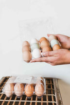 Farm Fresh Eggs | Dozen